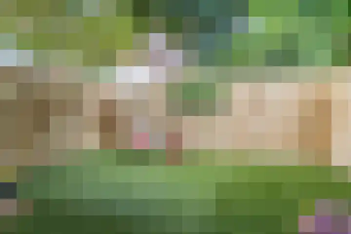 Thorbeckelaan 8 Utrecht thumbnail 22