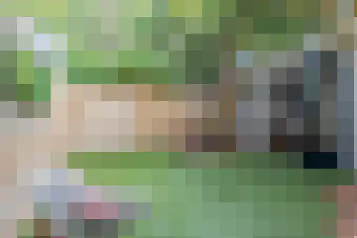 Thorbeckelaan 8 Utrecht thumbnail 23