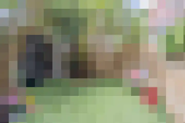 Thorbeckelaan 8 Utrecht thumbnail 5