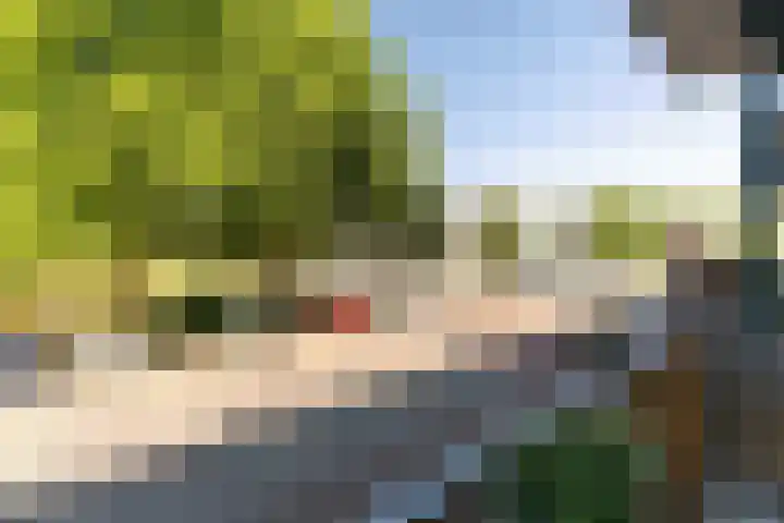 Thorbeckelaan 81 Pijnacker thumbnail 24