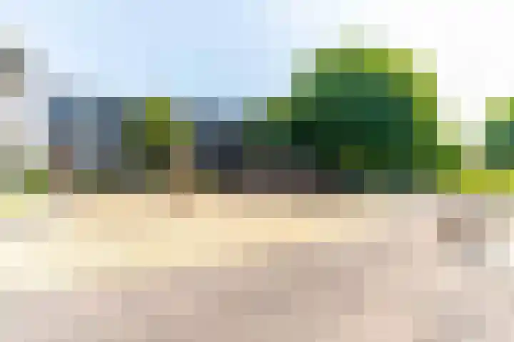 Thorbeckelaan 81 Pijnacker thumbnail 32