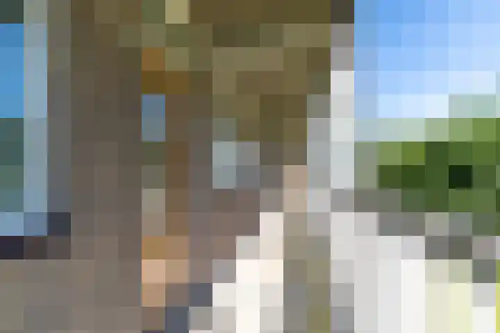Thorbeckelaan 81 Pijnacker thumbnail 5