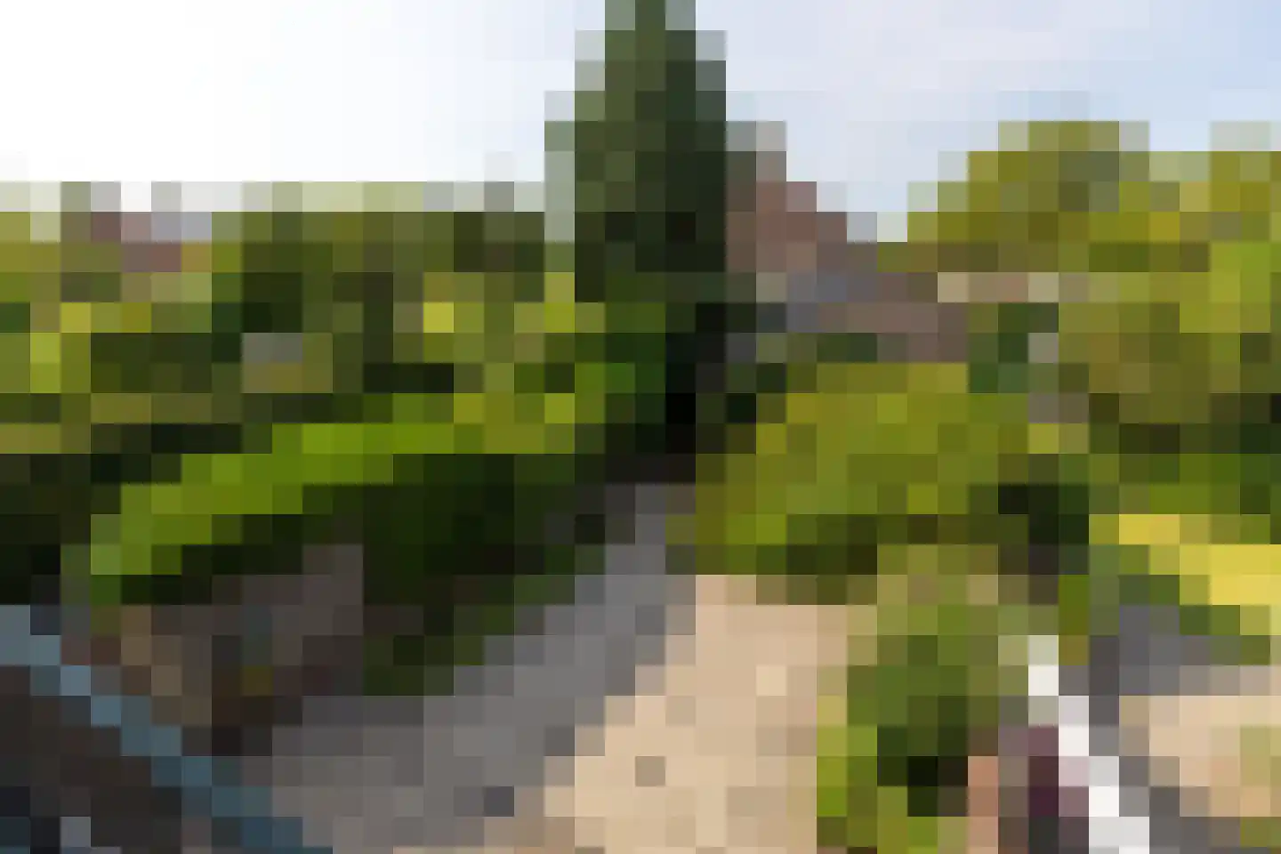 Thorbeckelaan 84 Naarden thumbnail 15