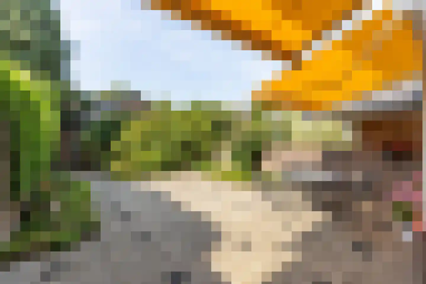 Thorbeckelaan 84 Naarden thumbnail 25