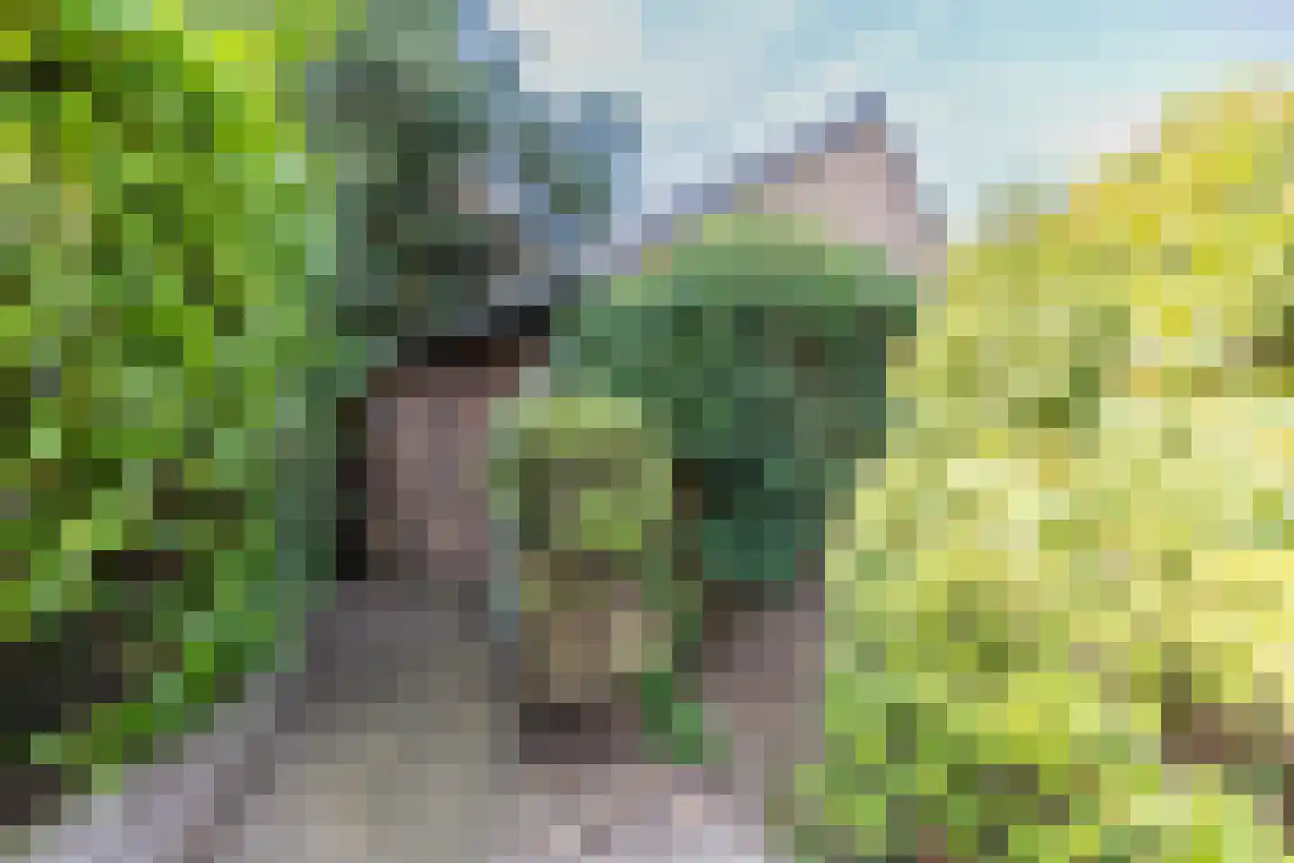 Thorbeckelaan 84 Naarden thumbnail 28