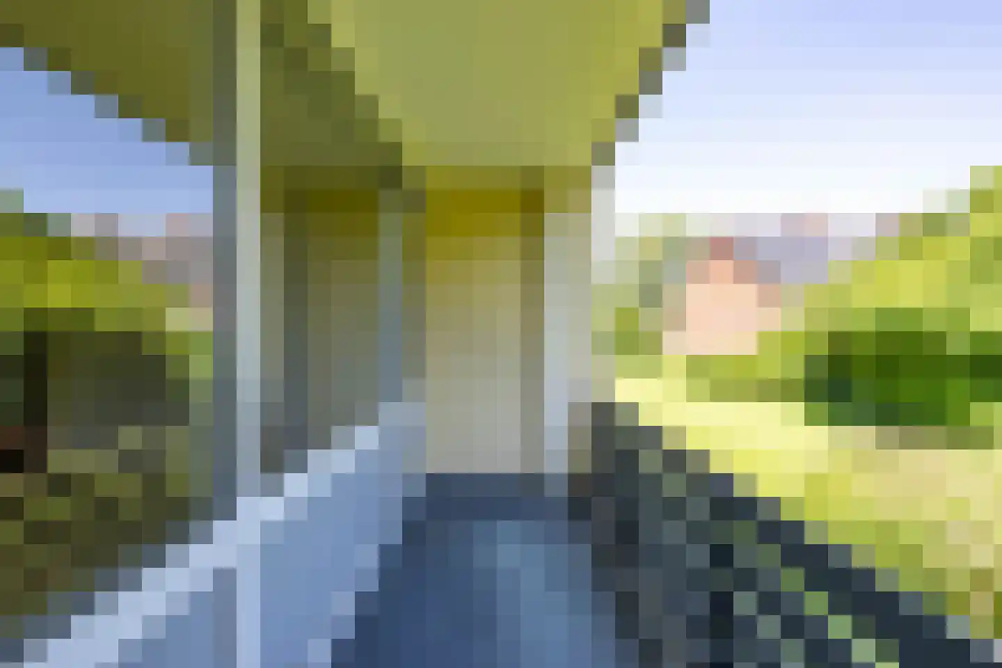 Thorbeckelaan 86 Groningen thumbnail 19