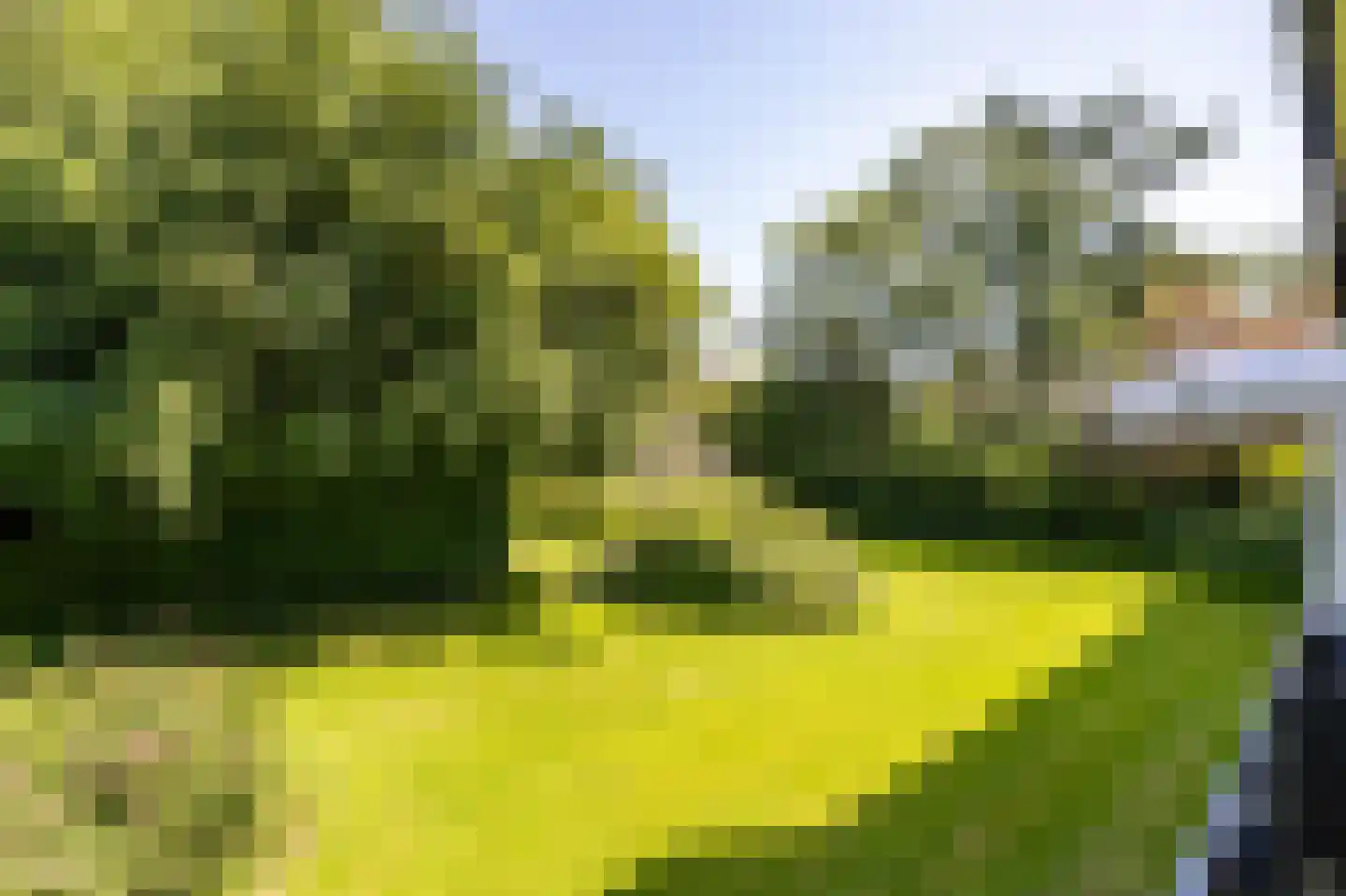 Thorbeckelaan 86 Groningen thumbnail 20