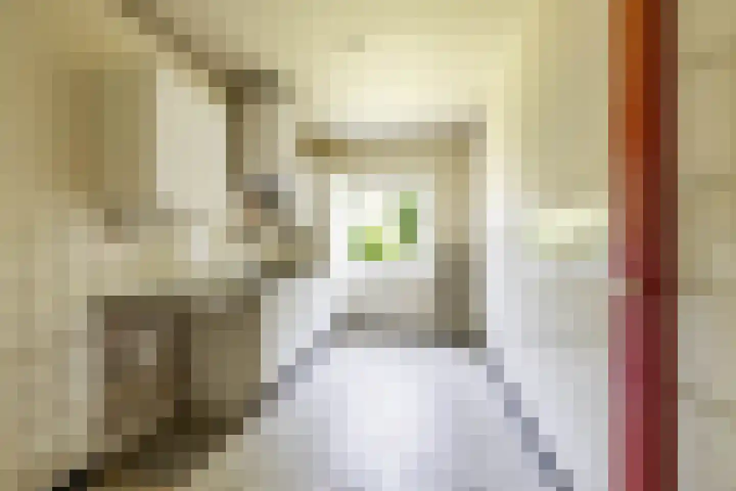 Thorbeckelaan 86 Groningen thumbnail 24