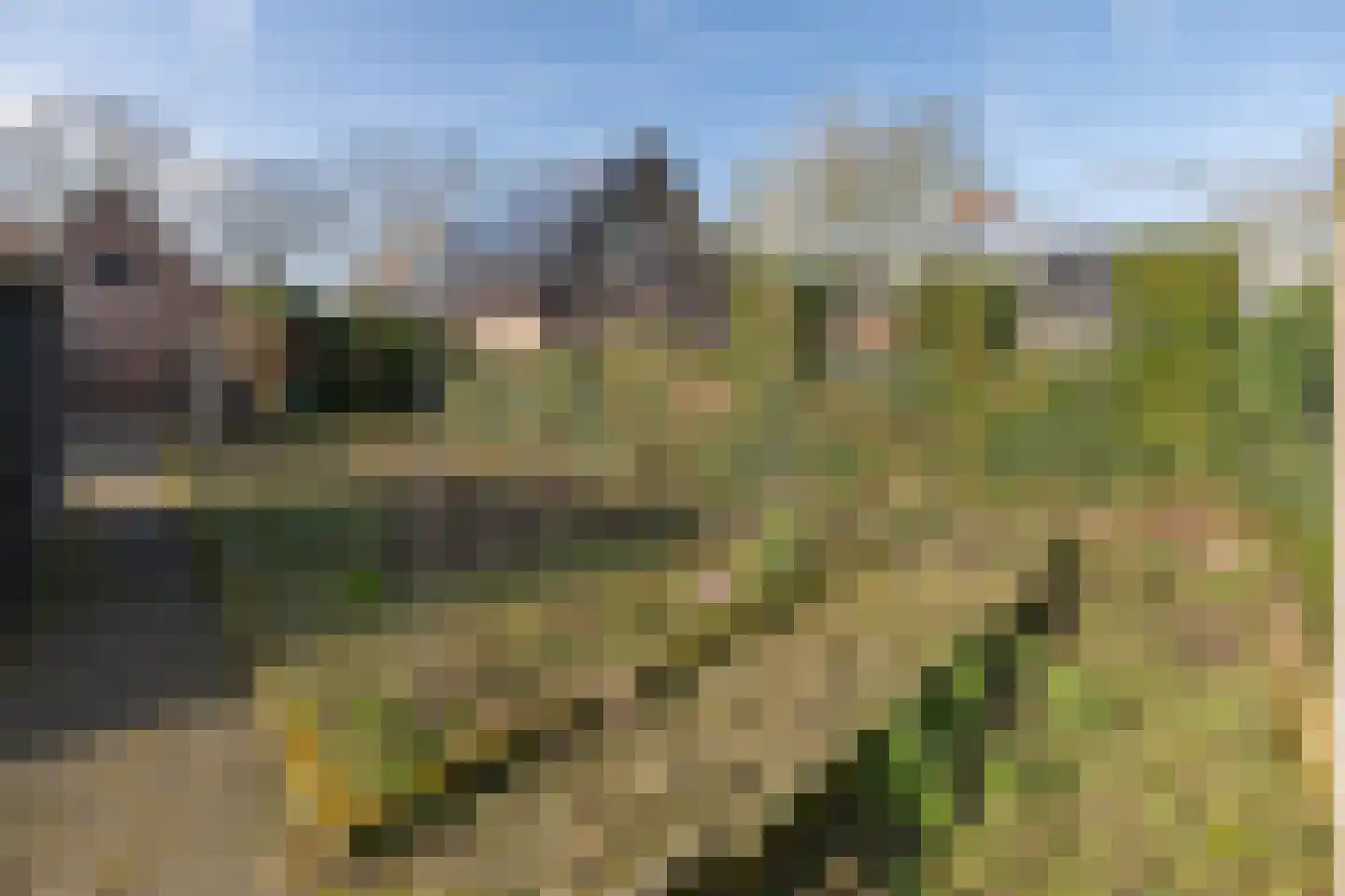 Thorbeckelaan 88 Barneveld thumbnail 43