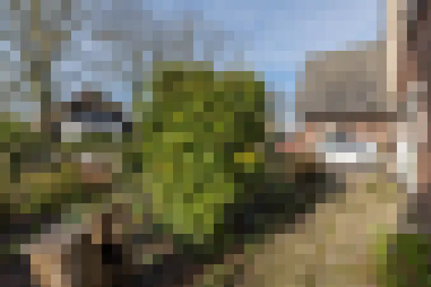 Thorbeckelaan 88 Barneveld thumbnail 47