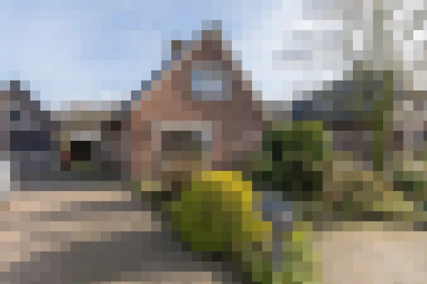Thorbeckelaan 88 Barneveld thumbnail 49
