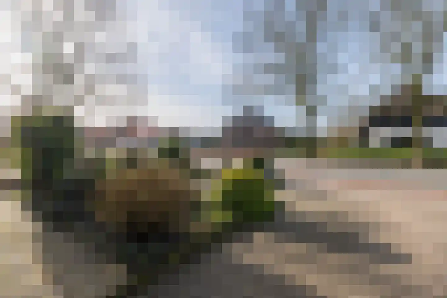 Thorbeckelaan 88 Barneveld thumbnail 50