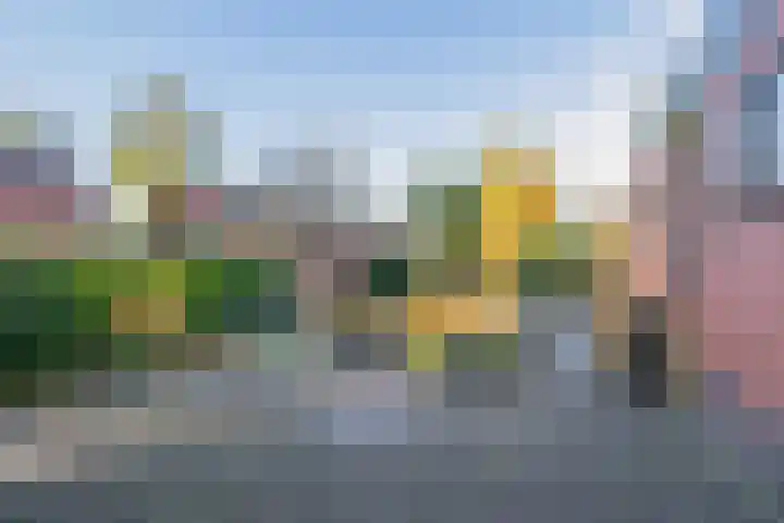 Thorbeckelaan 89 Oude Pekela thumbnail 34