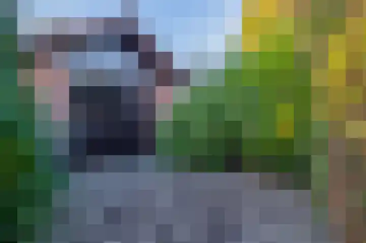 Thorbeckelaan 89 Oude Pekela thumbnail 37
