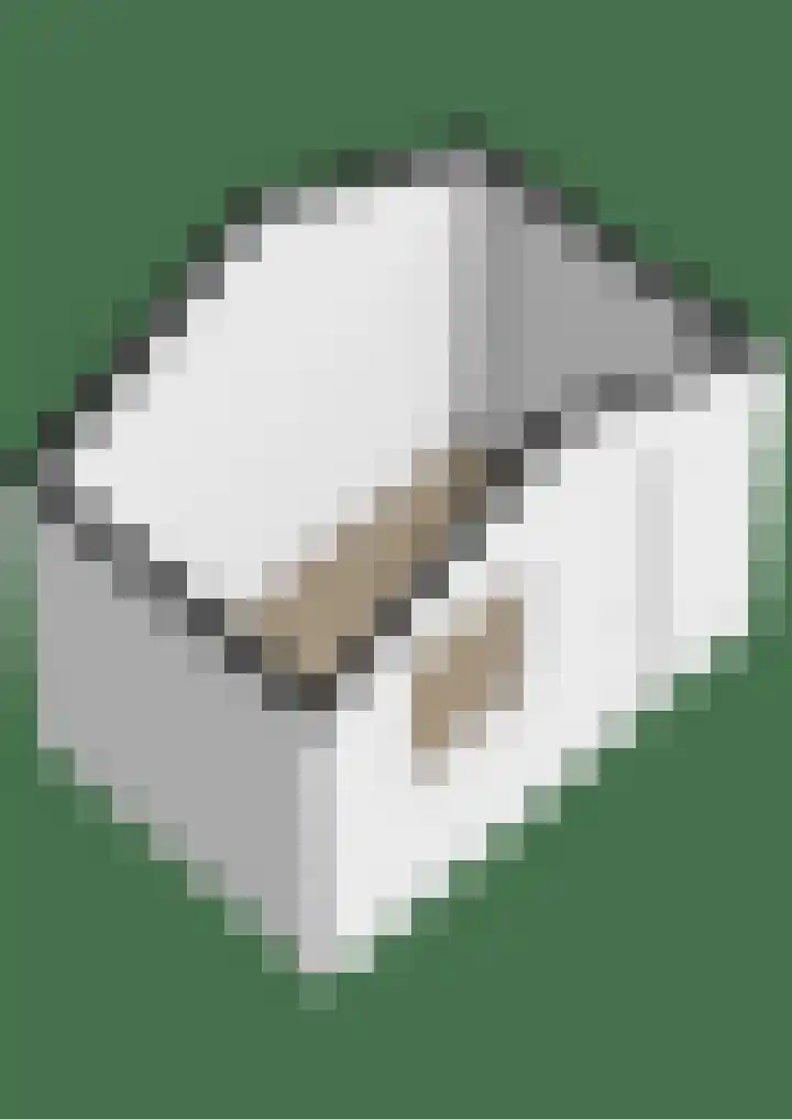 Thorbeckelaan 89 Oude Pekela thumbnail 50