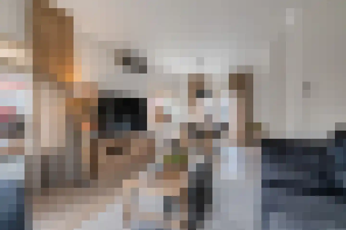 Thorbeckelaan 91 Oude Pekela thumbnail 14