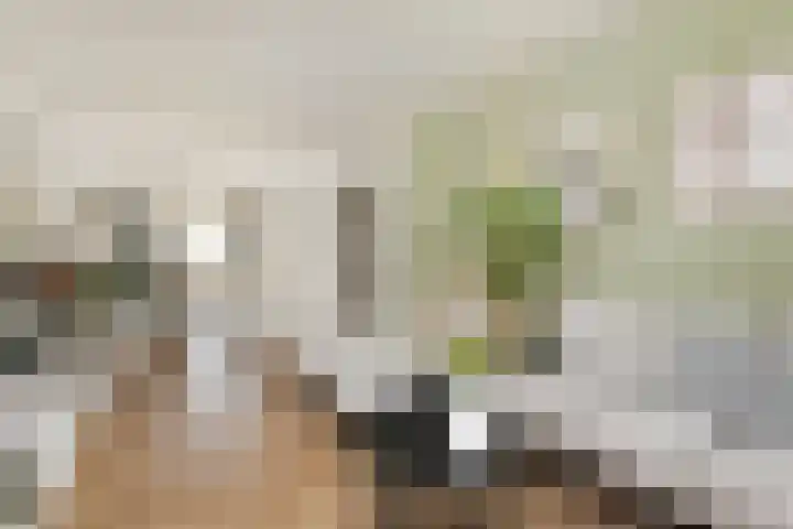 Thorbeckelaan 94 Den Haag thumbnail 10