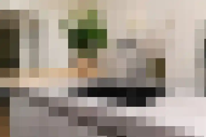 Thorbeckelaan 94 Den Haag thumbnail 18