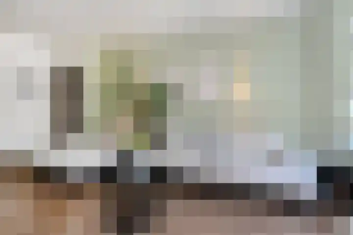 Thorbeckelaan 94 Den Haag thumbnail 9