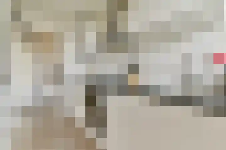 Thorbeckelaan 95 Gouda thumbnail 12