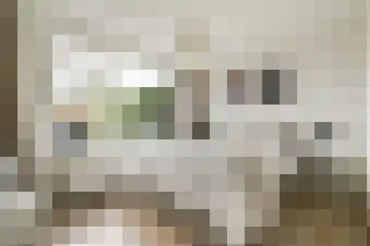 Thorbeckelaan 95 Gouda thumbnail 13