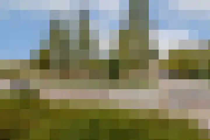 Thorbeckelaan 95 Gouda thumbnail 19