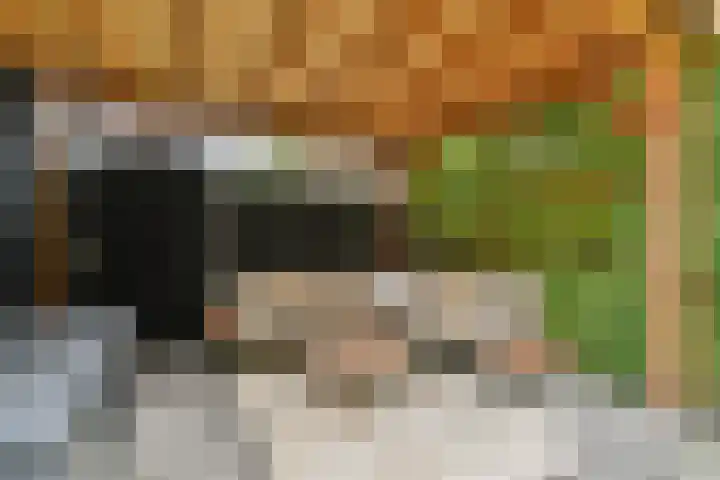 Thorbeckelaan 95 Gouda thumbnail 22