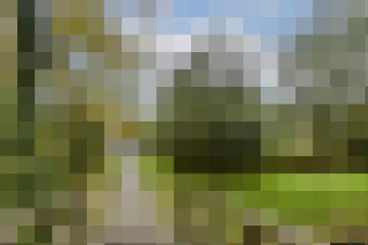 Thorbeckelaan 95 Gouda thumbnail 25