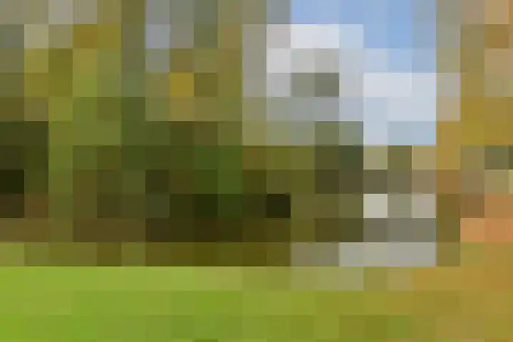 Thorbeckelaan 95 Gouda thumbnail 26