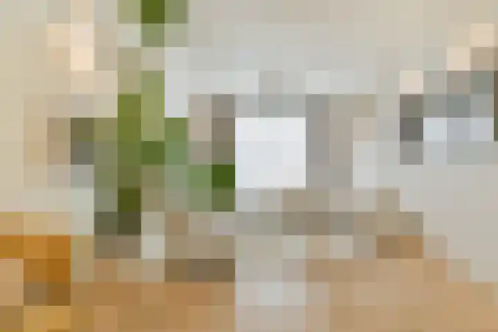 Thorbeckelaan 95 Gouda thumbnail 7