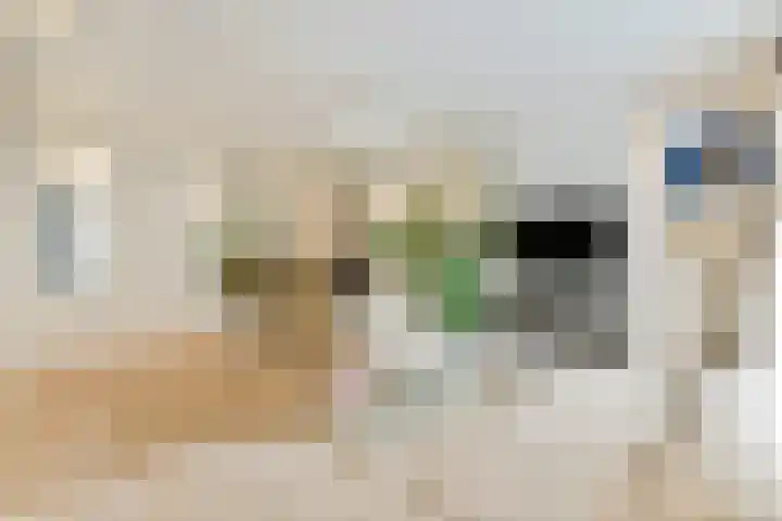 Thorbeckelaan 95 Gouda thumbnail 9