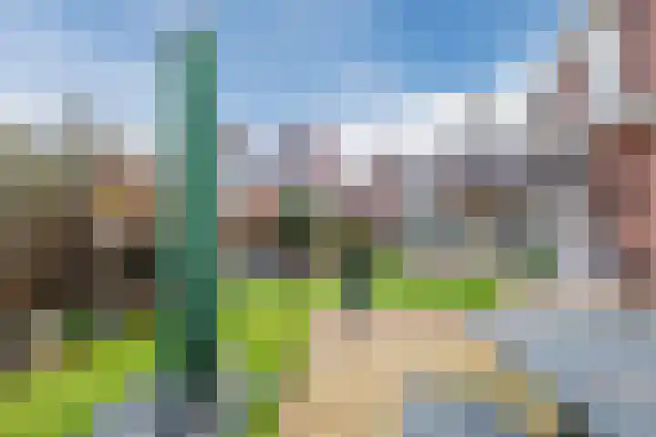 Thorbeckelaan 97 Oude Pekela thumbnail 46