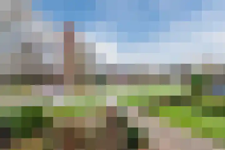 Thorbeckelaan 97 Oude Pekela thumbnail 52