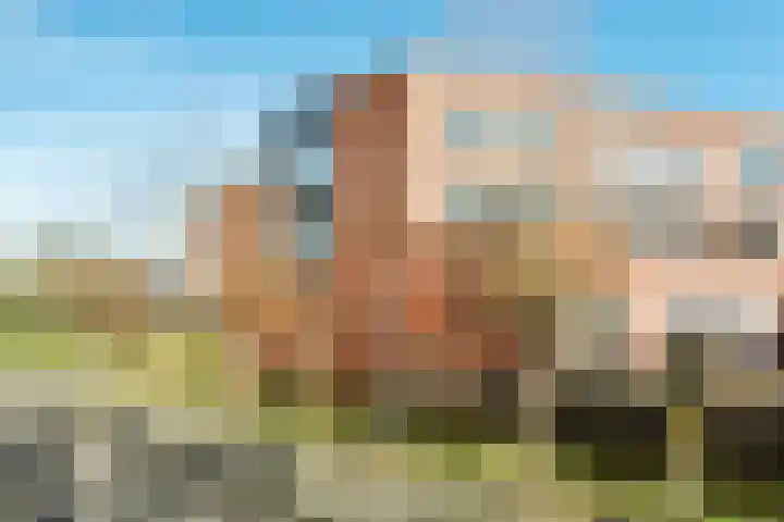 Thorbeckepark 181 Nieuwegein thumbnail 35