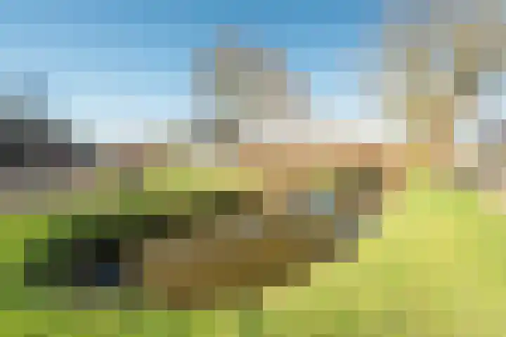 Thorbeckepark 181 Nieuwegein thumbnail 39