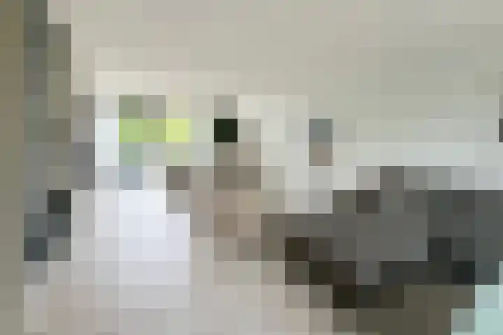 Thorbeckepark 187 Nieuwegein thumbnail 11