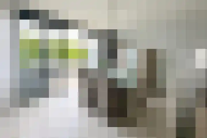 Thorbeckepark 187 Nieuwegein thumbnail 12