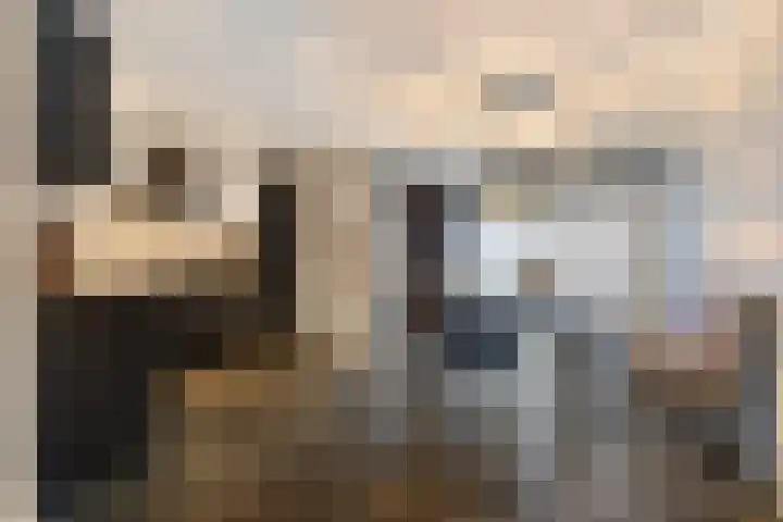Thorbeckeplantsoen 12 's-Hertogenbosch thumbnail 11
