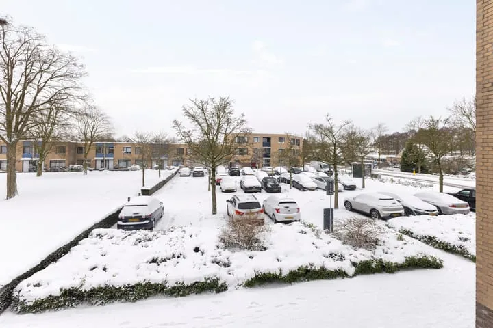 Thorbeckeplantsoen 12 's-Hertogenbosch thumbnail 27