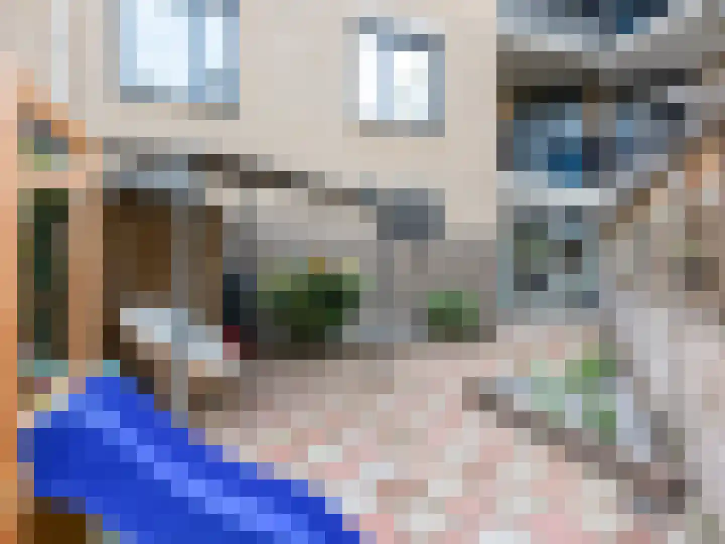 Thorbeckeplantsoen 2 's-Hertogenbosch thumbnail 22