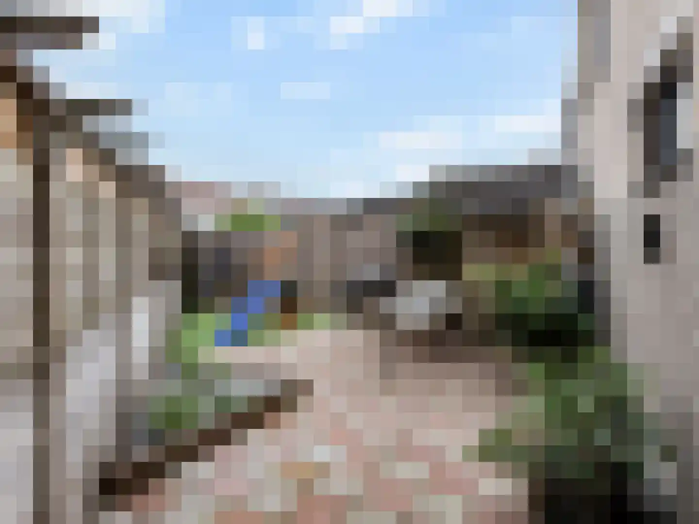 Thorbeckeplantsoen 2 's-Hertogenbosch thumbnail 23
