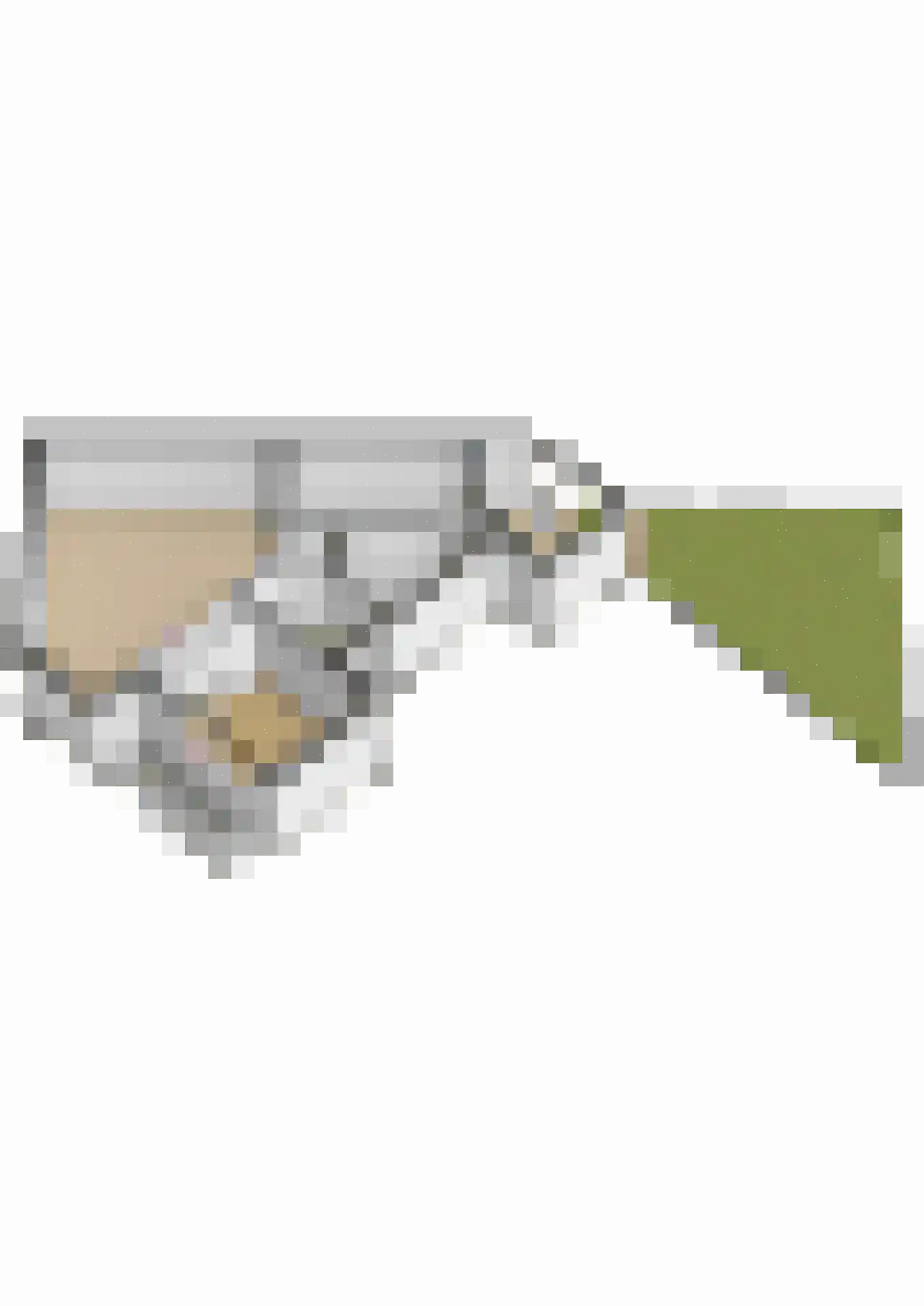 Thorbeckeplantsoen 2 's-Hertogenbosch thumbnail 31