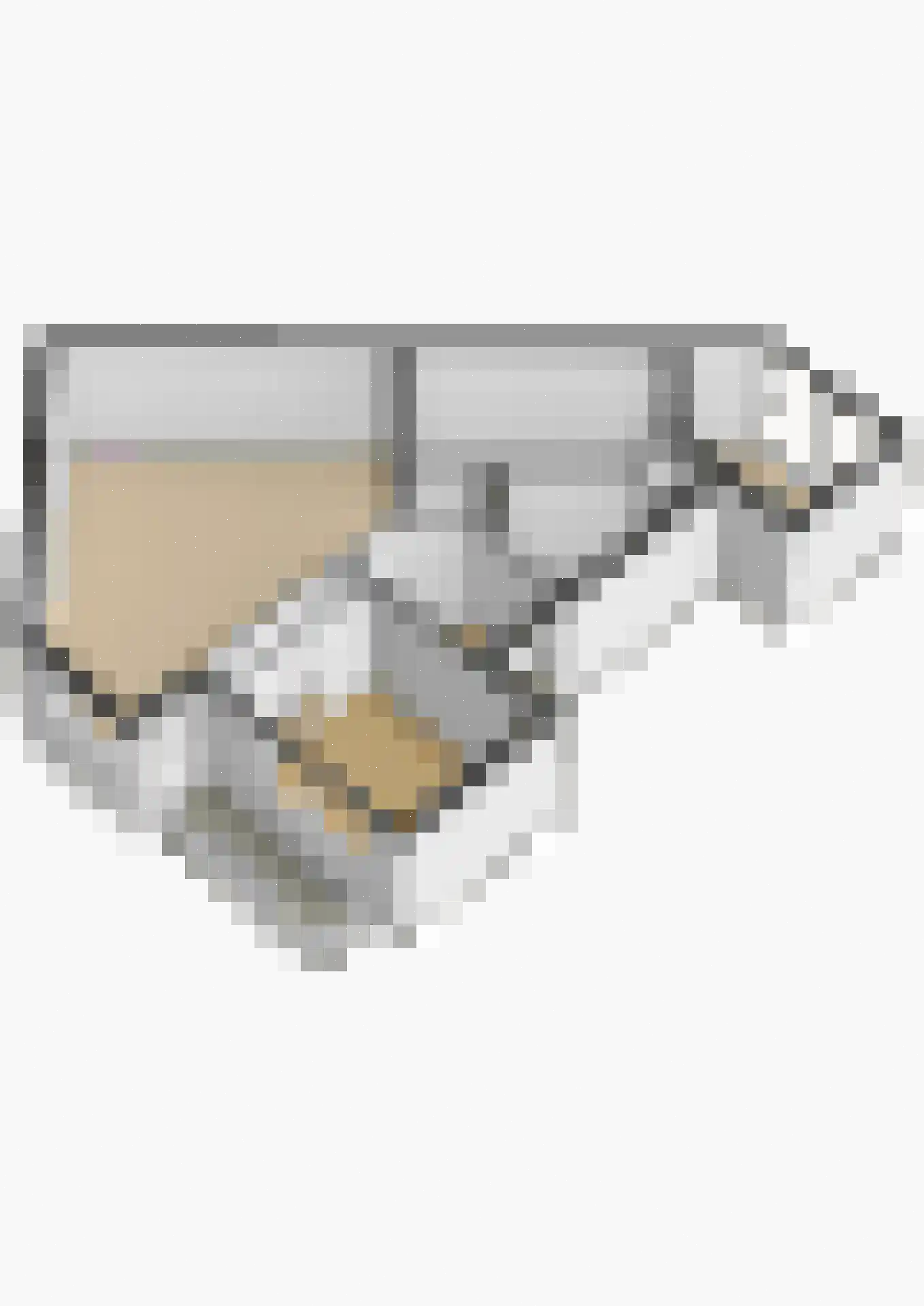 Thorbeckeplantsoen 2 's-Hertogenbosch thumbnail 33