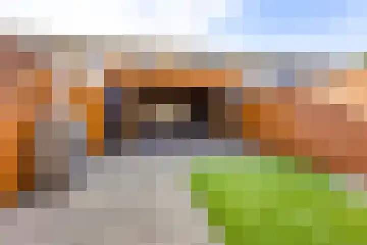Thorbeckeplantsoen 20 's-Hertogenbosch thumbnail 21