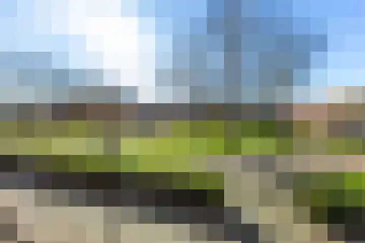 Thorbeckeplantsoen 20 's-Hertogenbosch thumbnail 39