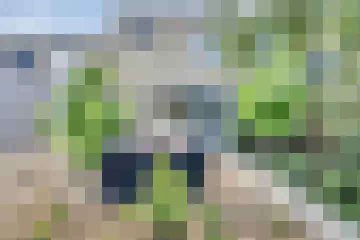 Thorbeckeplantsoen 26 's-Hertogenbosch thumbnail 31