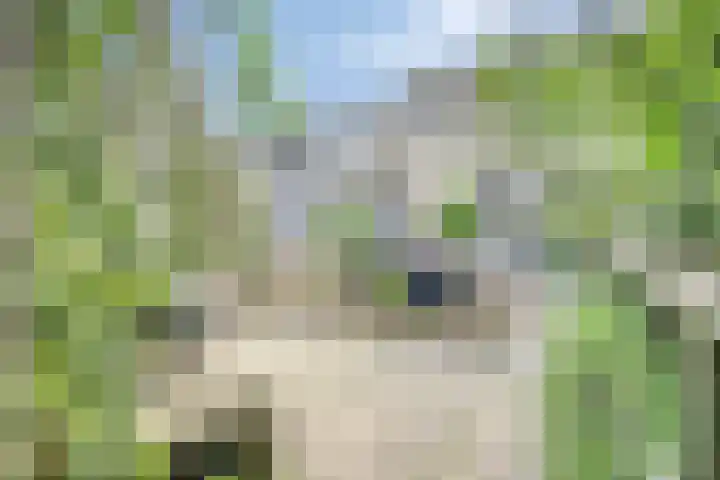 Thorbeckeplantsoen 26 's-Hertogenbosch thumbnail 32