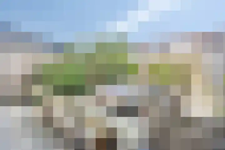 Thorbeckeplantsoen 26 's-Hertogenbosch thumbnail 34