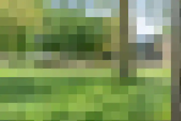 Thorbeckeplantsoen 26 's-Hertogenbosch thumbnail 35