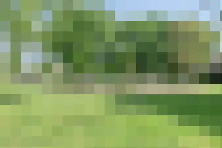 Thorbeckeplantsoen 26 's-Hertogenbosch thumbnail 36
